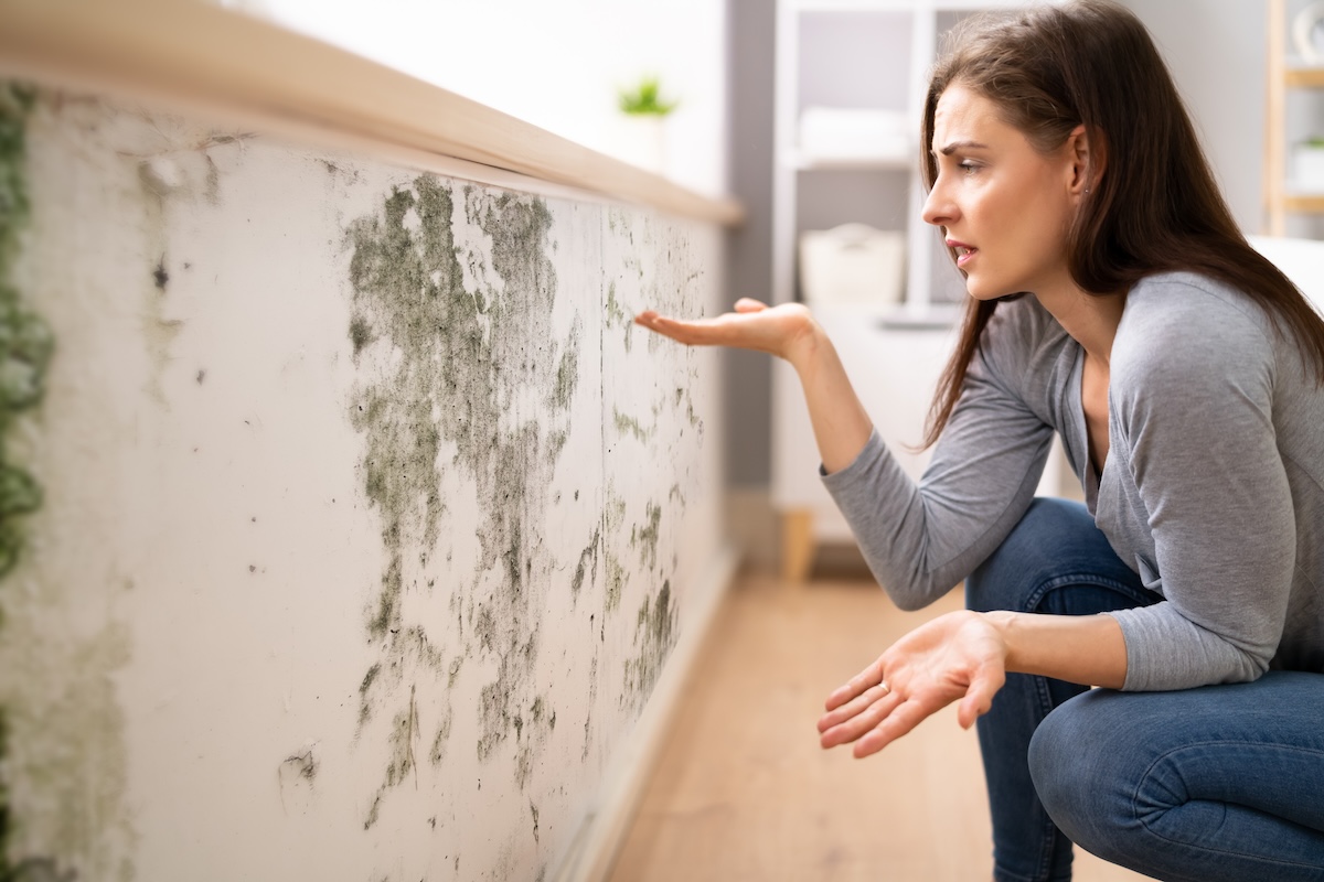 %titre de l'article% Mur intérieur atteint d'humidité et de moisissures