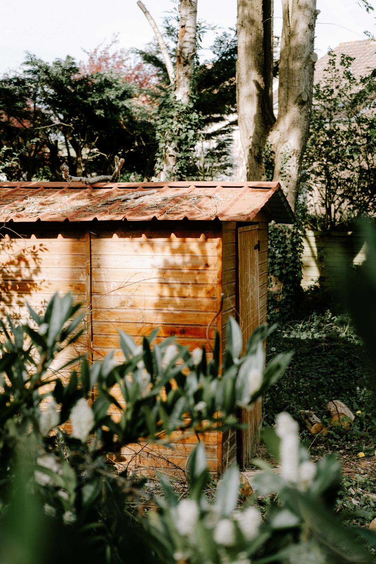 %titre de l'article% Abri de jardin en bois installé dans un jardin arboré