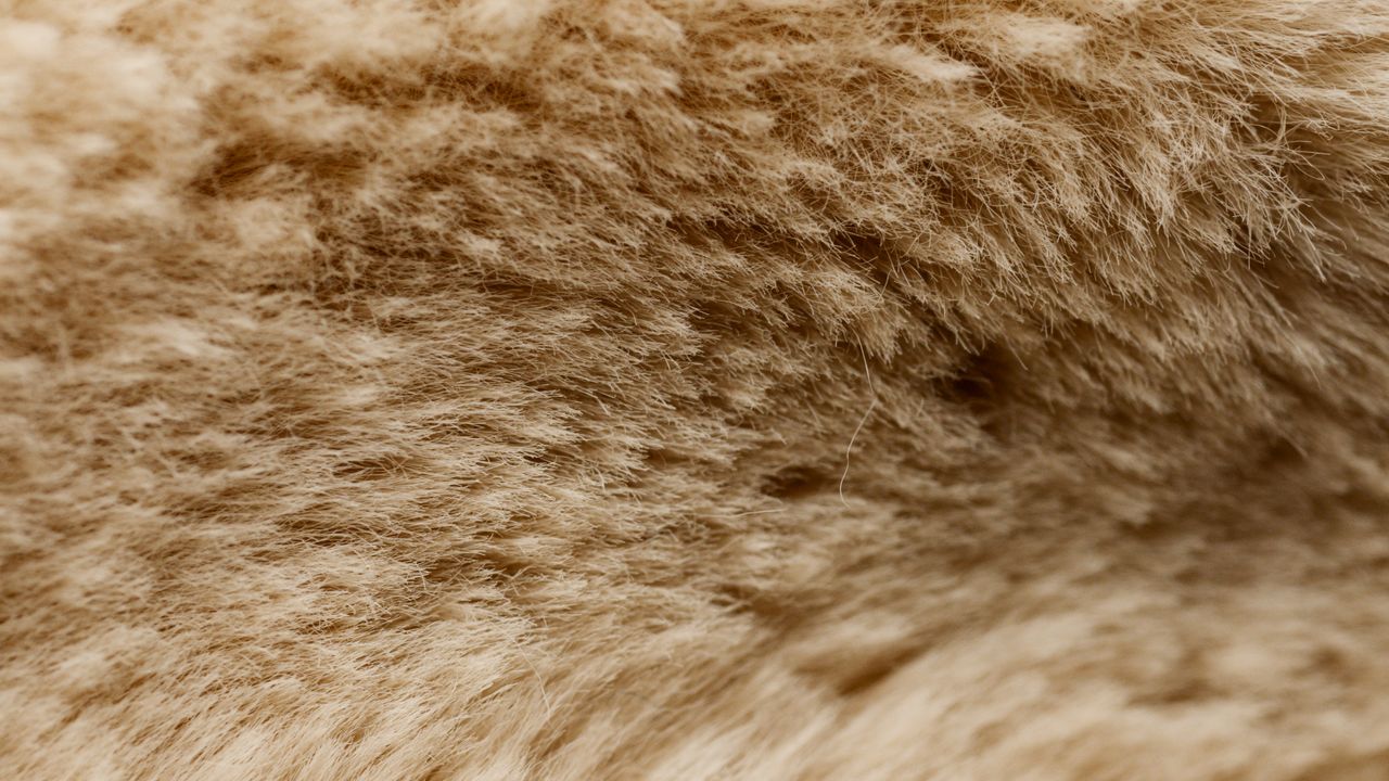 %titre de l'article% Pose d'un isolant dans un mur, entre performance thermique et acoustique