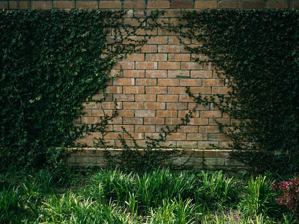 %titre de l'article% Mur en briques en limite de propriété entre deux voisins