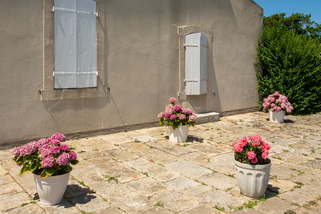 %titre de l'article% Terrasse en pierre naturelle ensoleillée bordée d'hortensias en pots