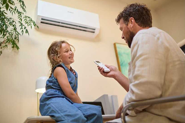 %titre de l'article% pompe à chaleur air air vaillant